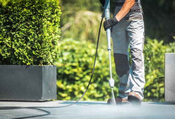 Best House Exterior Washing  in Shannon, MS