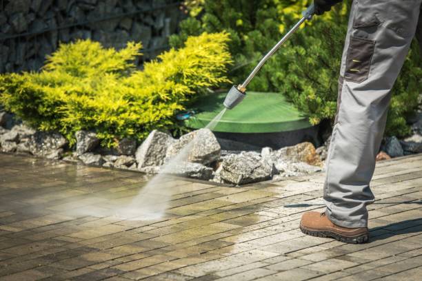 Trusted Shannon, MS Pressure Washing Services Experts