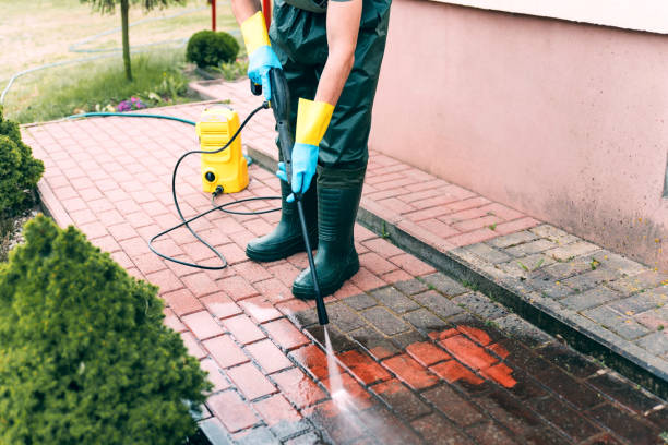 Best Dumpster Area Cleaning  in Shannon, MS