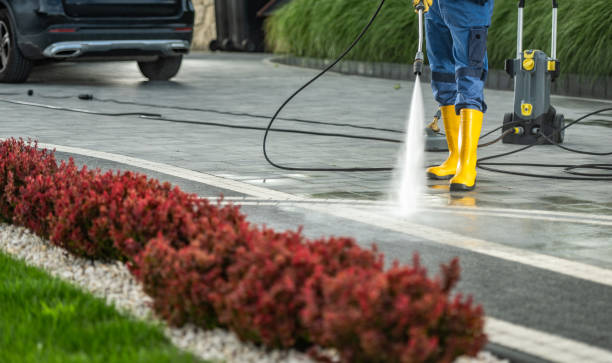 Best Sidewalk and Walkway Cleaning  in Shannon, MS